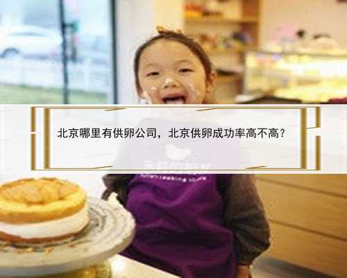 北京哪里有供卵公司，北京供卵成功率高不高？